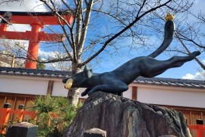 IMG_20221218_101910140_HDR