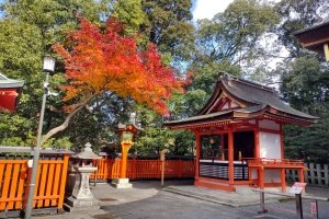 IMG_20221218_110214649_HDR