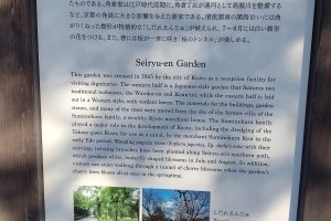 IMG_20221219_094546401_HDR