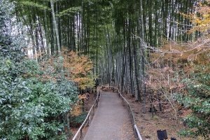 IMG_20221219_133517313_HDR