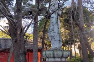 IMG_20221226_152851548_HDR-scaled