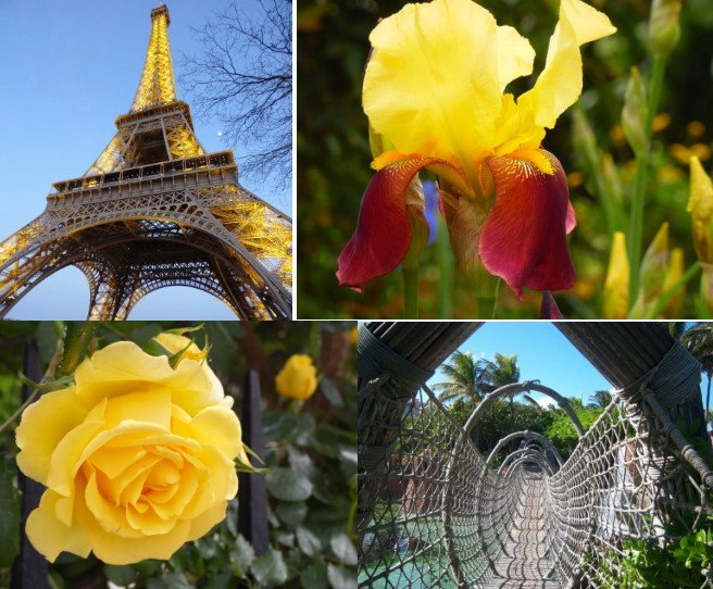 Shields Era Gallery Art Banner